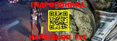 твердый Новозыбков