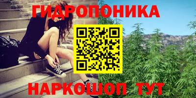 spice Новокубанск