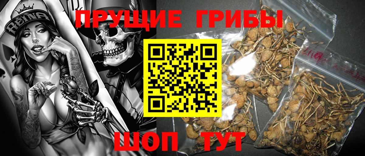 Псилоцибиновые грибы GOLDEN TEACHER  Вход с VPN  Топки 