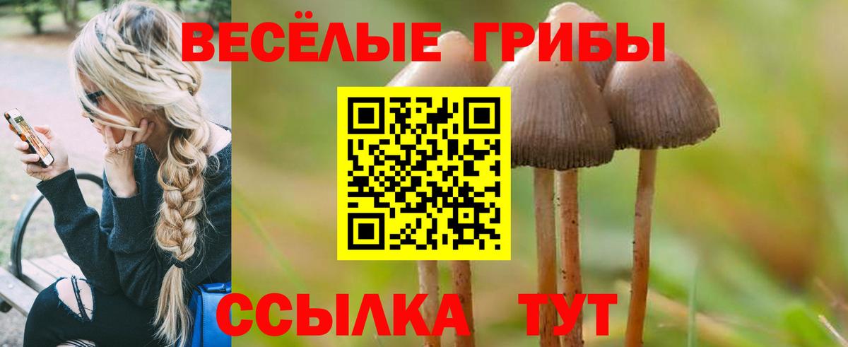 Псилоцибиновые грибы мухоморы Топки